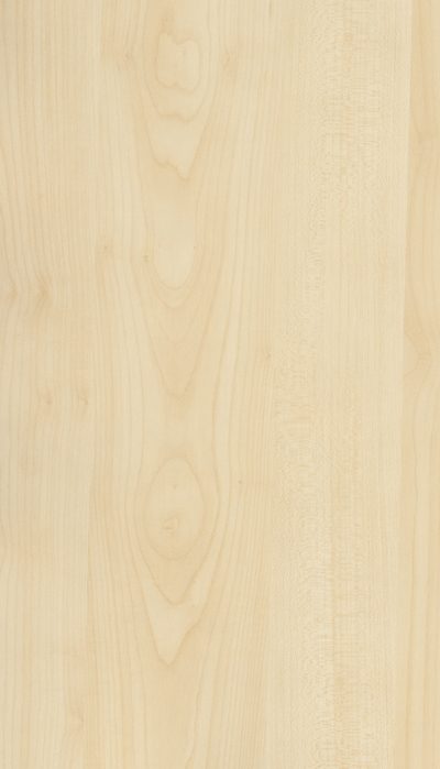Akustik ahşap panel renk kartelası, Akça Ağaç dekoru