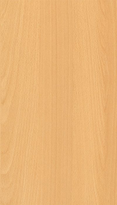 Akustik ahşap panel renk kartelası, N. Kayın dekoru