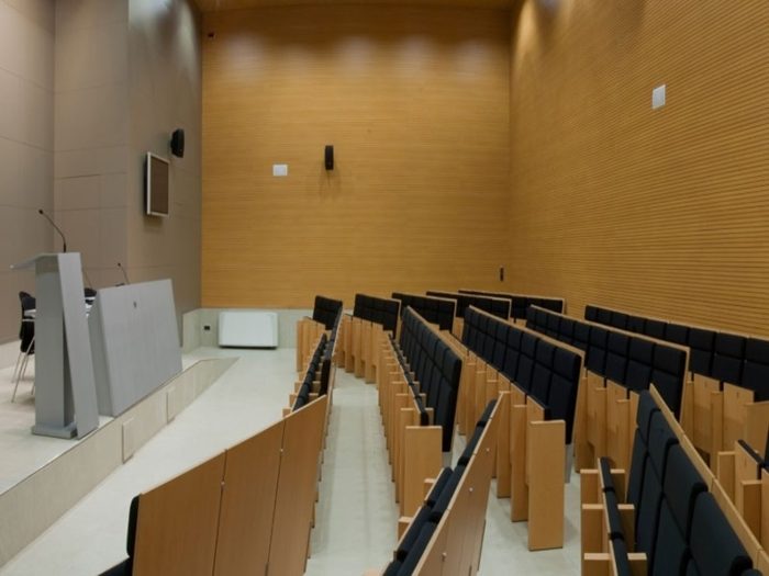 Amfi derslik duvarlarında kiraz tonlu ince kanallı ahşap akustik kaplama ve sıralı koltuklar
