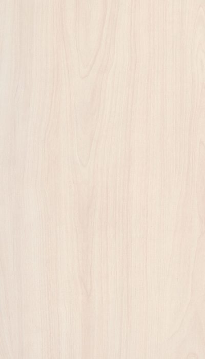 Akustik ahşap panel renk kartelası, Doğal Huş dekoru