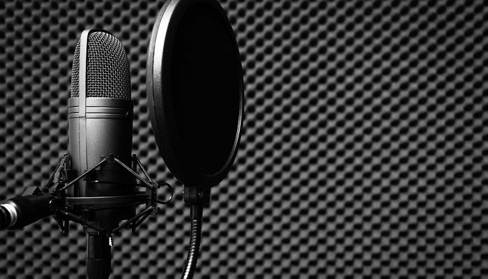 Mikrofon arkasında yumurta akustik sünger dokusu
