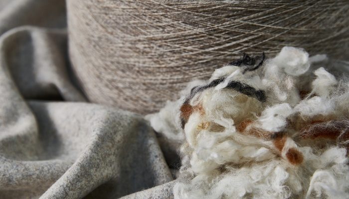 Camira Blazer'ın ham maddesi, doğal ham yün elyafı ve iplik bobini dokunmuş yün kumaş yanında