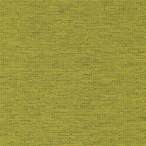 Camira Gravity Gooseberry renk örneği