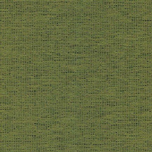 Camira Gravity Evergreen renk örneği