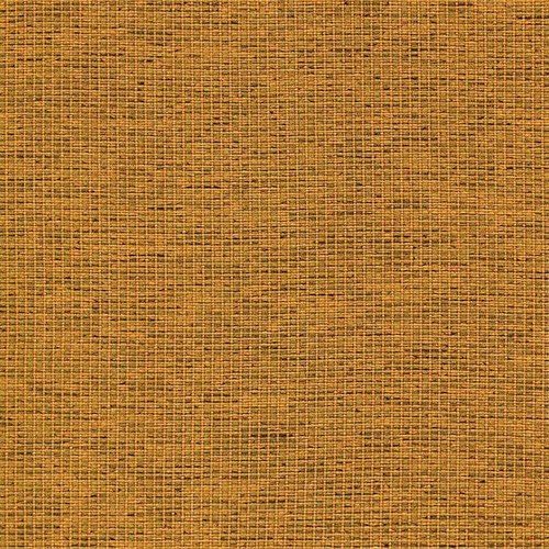 Camira Gravity Sunni renk örneği