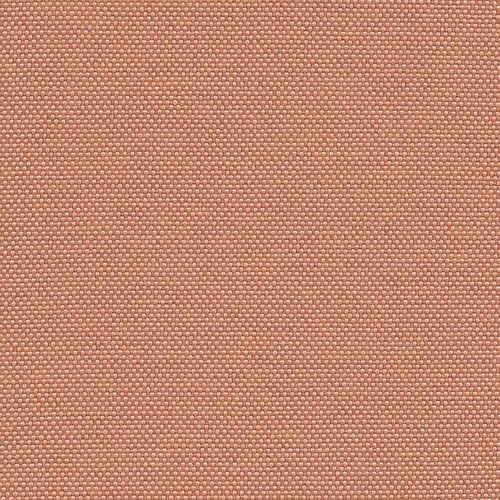 Camira Quest Shrimp renk örneği